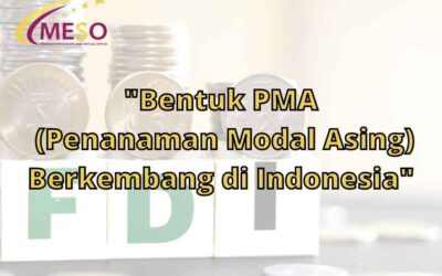 Bentuk PMA (Penanaman Modal Asing) Berkembang di Indonesia